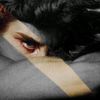 nuevo_amanecer_oscuro
