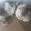 sndidnsndndk