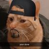 maxysseldyk