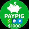paypig4204