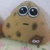 avenacongalletas