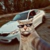 ytta_3050