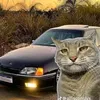 mosquitof13