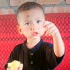 shreyan988