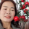 danghong41