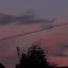 nicola_695