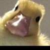__dqwwww