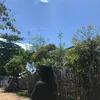 zeyes10