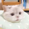 _ambushed