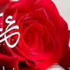 user20473107