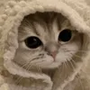 hayyyyssssssssss