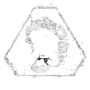 _.scor_pion._
