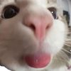 nrlfztlftn