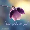user7803069941987