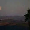 lajsjjs1