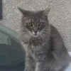 ecnaritta