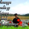 amiramir.33