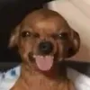 crispyfr8