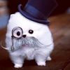 mamai_73