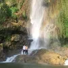 sinh_923010