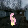 savelgoryach