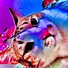 meomeosigmaboy