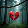 amir_hamza21