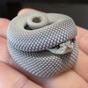 slithery_lil_sneky_snek