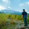 donifajar14