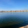 stolze.kurdin.2
