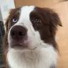 chloesnug