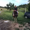 jucivandesousa