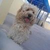 sandracastro5978