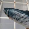 pescado_h.p