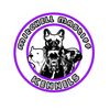 mitchellmastiffkennels