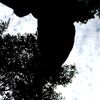 windads19_