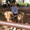 Rayaan Rony