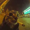 getrwmae