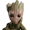 groot80s