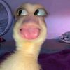 abecery