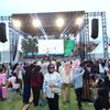 sindy_ud