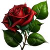 kakani_2