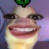 melllajaa99