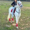 nina_nina815