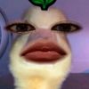piecesof_18