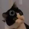 iddjigb