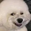haiyaaaaaa555
