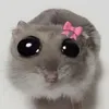 _sbvl