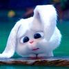 its_a1_ninja_1
