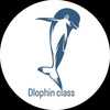 dolphin_for_mens